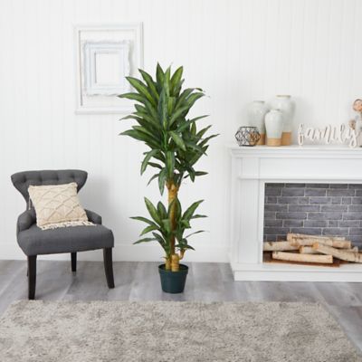 Image showing  5 ft. Artificial Yucca Silk Plant