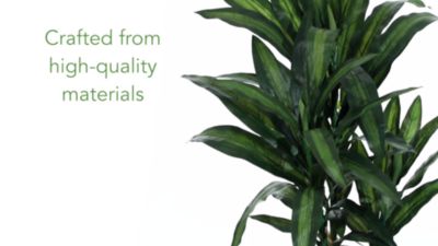 Image showing  5 ft. Artificial Yucca Silk Plant