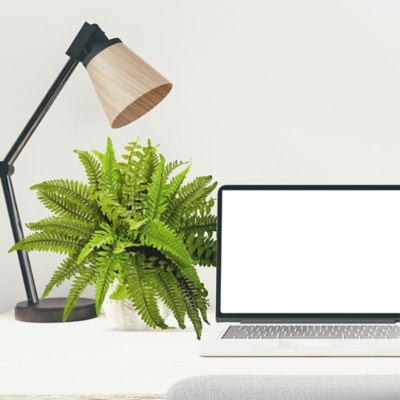 Image showing  Artificial 14 in. Boston Fern Plant in White Planter