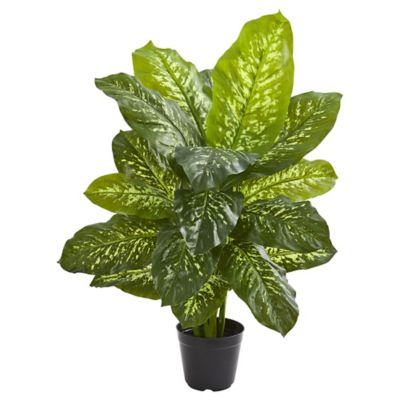 Nearly Natural 34 in. Artificial Dieffenbachia Plant, Real Touch