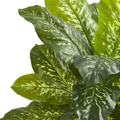 Image showing  34 in. Artificial Dieffenbachia Plant, Real Touch