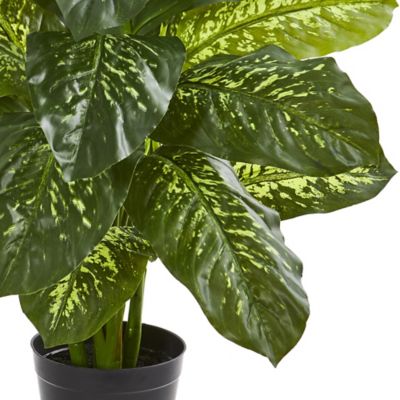 Image showing  34 in. Artificial Dieffenbachia Plant, Real Touch