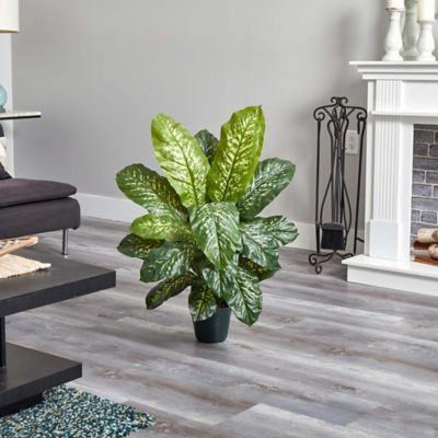 Image showing  34 in. Artificial Dieffenbachia Plant, Real Touch
