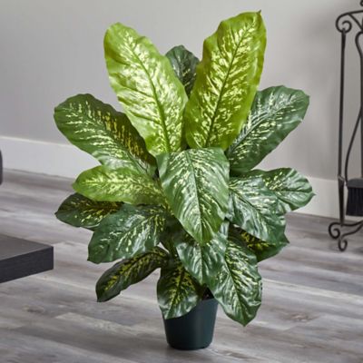 Image showing  34 in. Artificial Dieffenbachia Plant, Real Touch