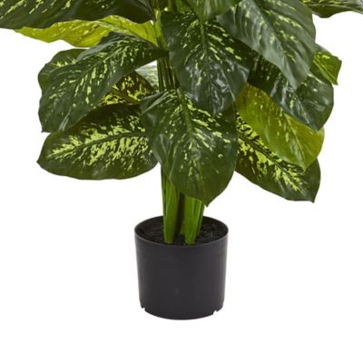 Image showing  42 in. Artificial Dieffenbachia Plant, Real Touch