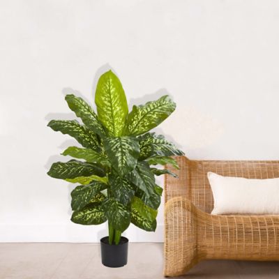 Image showing  42 in. Artificial Dieffenbachia Plant, Real Touch
