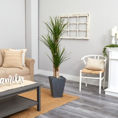 Image showing  5.5 ft. Artificial Triple Stalk Yucca Plant in Slate Planter