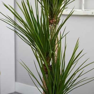 Image showing  5.5 ft. Artificial Triple Stalk Yucca Plant in Slate Planter