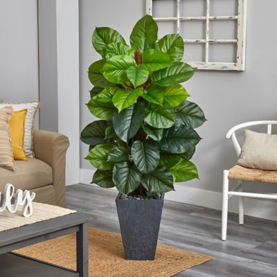 Image showing  Artificial 5 ft. Large Leaf Philodendron Plant in Slate Planter, Real Touch, Green