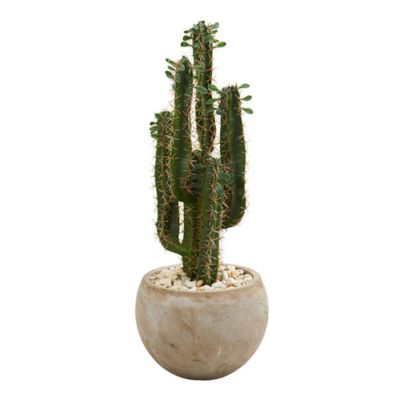 Nearly Natural 2.5 ft. Artificial Cactus Plant in Bowl Planter