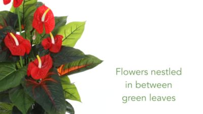 Image showing  3 ft. Artificial Anthurium Silk Plant, Real Touch