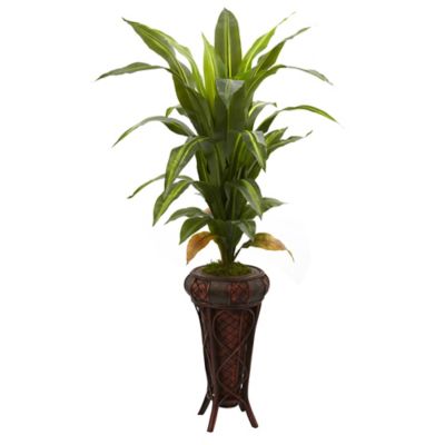 Nearly Natural 57 in. Artificial Dracaena Silk Plant with Stand, Real Touch