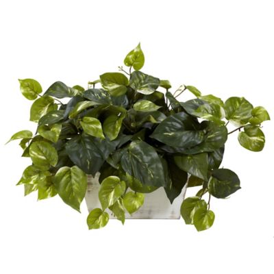 Nearly Natural 6 in. Artificial Pothos Silk Plant with White Wash Planter