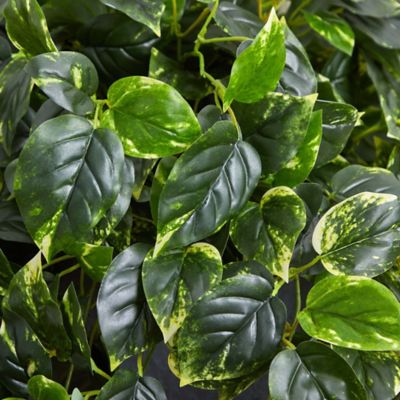 Image showing 5 th Nearly Natural 29 in. Artificial Hanging Pothos Plant with Slate Planter, UV Resistant, Indoor/Outdoor