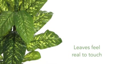 Image showing  4 ft. Artificial Dieffenbachia Plant, Real Touch