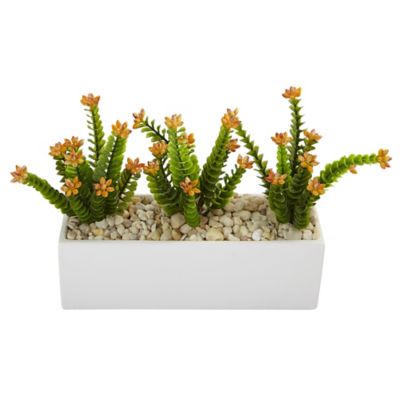 Image showing  9.5 in. Artificial Flowering Sedum Plant in Rectangular Planter