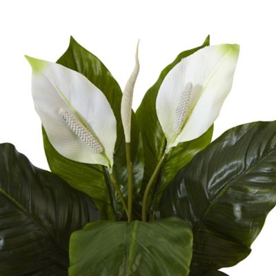 Image showing  26 in. Artificial Spathiphyllum Flowering Peace Lily in Glossy Glass Planter