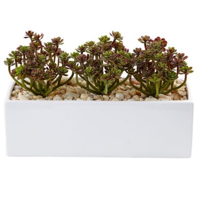 Image showing  Artificial 7.75 in. Sedum Arrangement in Rectangular Planter