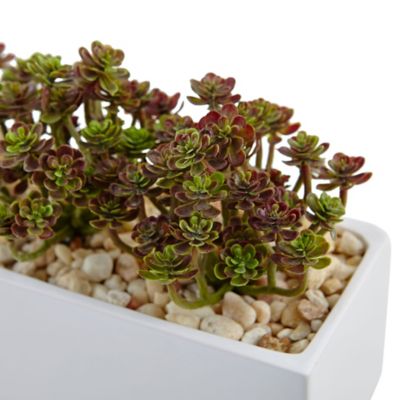 Image showing  Artificial 7.75 in. Sedum Arrangement in Rectangular Planter