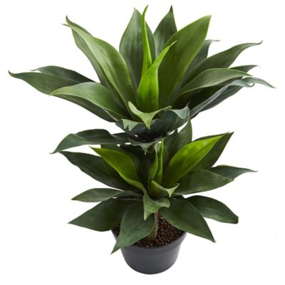 Image showing  29 in. Artificial Double Agave Succulent Plant