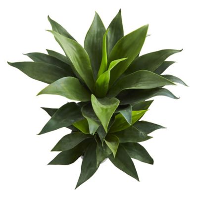 Image showing  29 in. Artificial Double Agave Succulent Plant