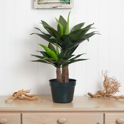 Image showing  29 in. Artificial Double Agave Succulent Plant