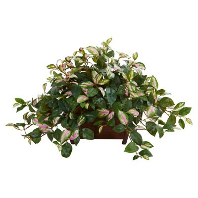 Nearly Natural 16 in. Artificial Hoya Plant in Decorative Planter