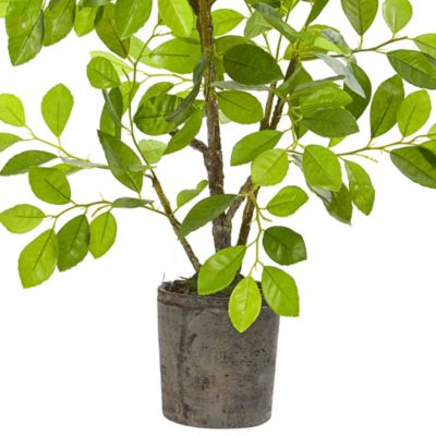 Image showing  Artificial 3 ft. Ficus Tree in Planter