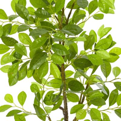 Image showing  Artificial 3 ft. Ficus Tree in Planter
