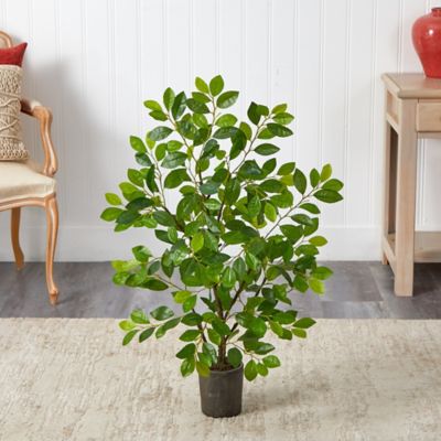 Image showing  Artificial 3 ft. Ficus Tree in Planter