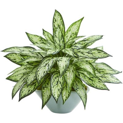 Nearly Natural 16 in. Artificial Silver Queen Plant in Green Vase