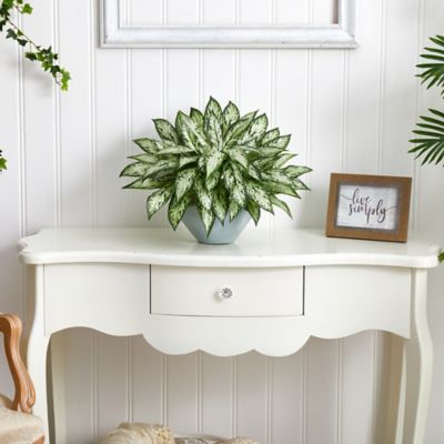 Image showing  16 in. Artificial Silver Queen Plant in Green Vase