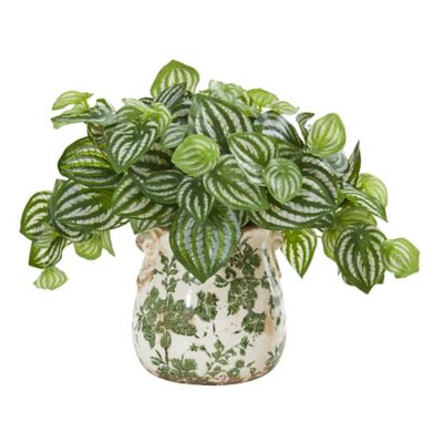 Image showing  12 in. Artificial Watermelon Peperomia Plant in Vase, Real Touch