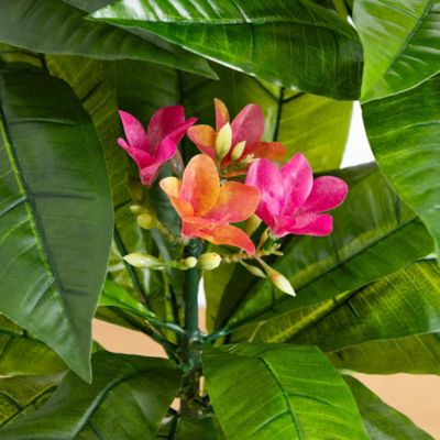 Image showing  5 ft. Artificial Plumeria Tree in Decorative Planter, UV Resistant, Indoor/Outdoor