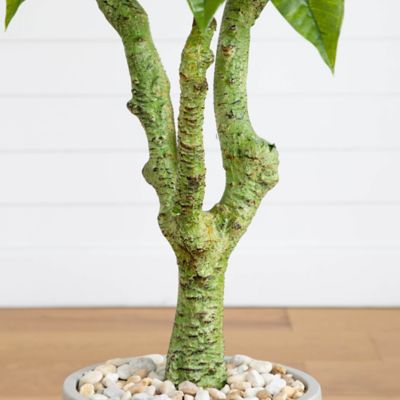 Image showing  5 ft. Artificial Plumeria Tree in Decorative Planter, UV Resistant, Indoor/Outdoor