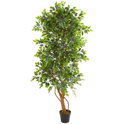 Nearly Natural Artificial 6 ft. Elegant Ficus Tree