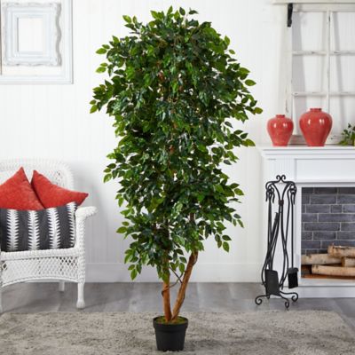 Image showing  Artificial 6 ft. Elegant Ficus Tree