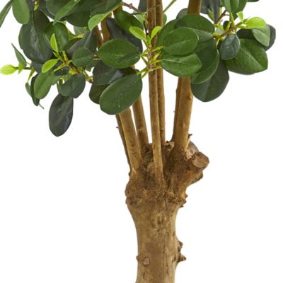 Image showing  3 ft. Artificial Panda Ficus Tree