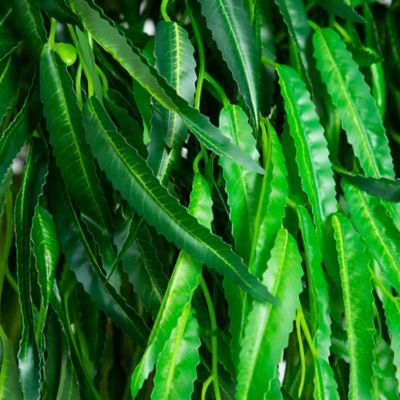 Image showing  Artificial 7 ft. Willow Tree