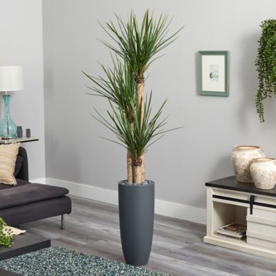Image showing  Artificial 6 ft. Yucca Tree in Bullet Planter