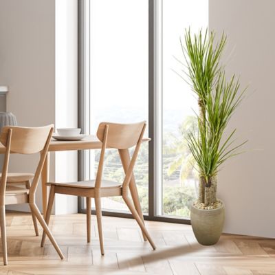 Image showing  Artificial 64 in. Yucca Tree in Sand Colored Planter