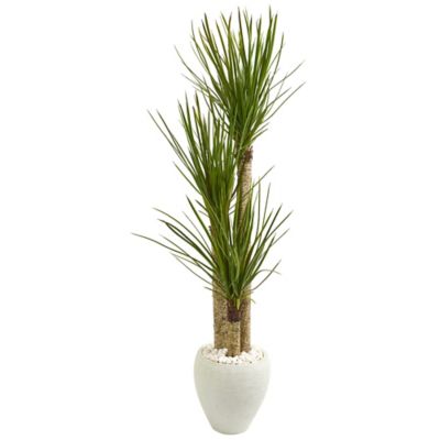 Nearly Natural 5.5 ft. Artificial Yucca Tree in White Planter