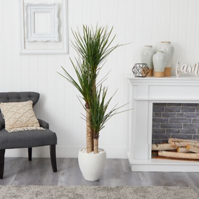 Image showing  5.5 ft. Artificial Yucca Tree in White Planter