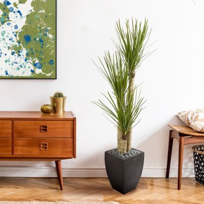 Image showing  63 in. Artificial Yucca Tree in Black Planter