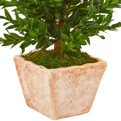 Image showing  35 in. Artificial Olive Cone Topiary Tree in Terra Cotta Planter, UV Resistant, Indoor/Outdoor