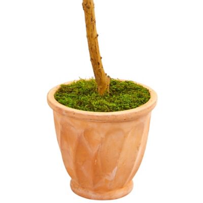Image showing  63 in. Artificial Olive Topiary Tree in Terra Cotta Planter, UV Resistant, Indoor/Outdoor