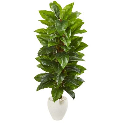 Nearly Natural 63 in. Artificial Large Leaf Philodendron Plant in White Planter, Real Touch
