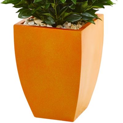 Image showing  57 in. Artificial Bay Leaf Topiary Tree in Orange Planter, UV Resistant, Indoor/Outdoor