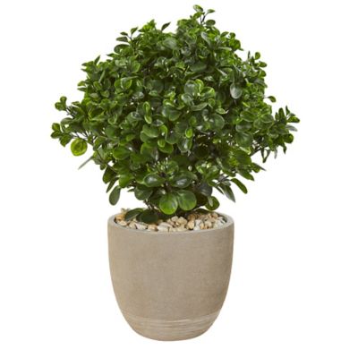 Nearly Natural 30 in. Artificial Peperomia Plant in Sand Stone Planter, UV Resistant, Indoor/Outdoor