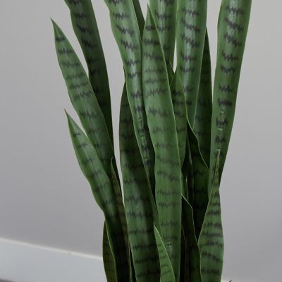 Image showing  4.5 ft. Artificial Sansevieria Plant in Black Planter